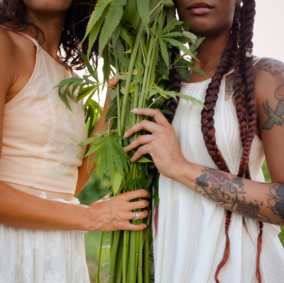 Is there a link between environmental toxins & fibroids?