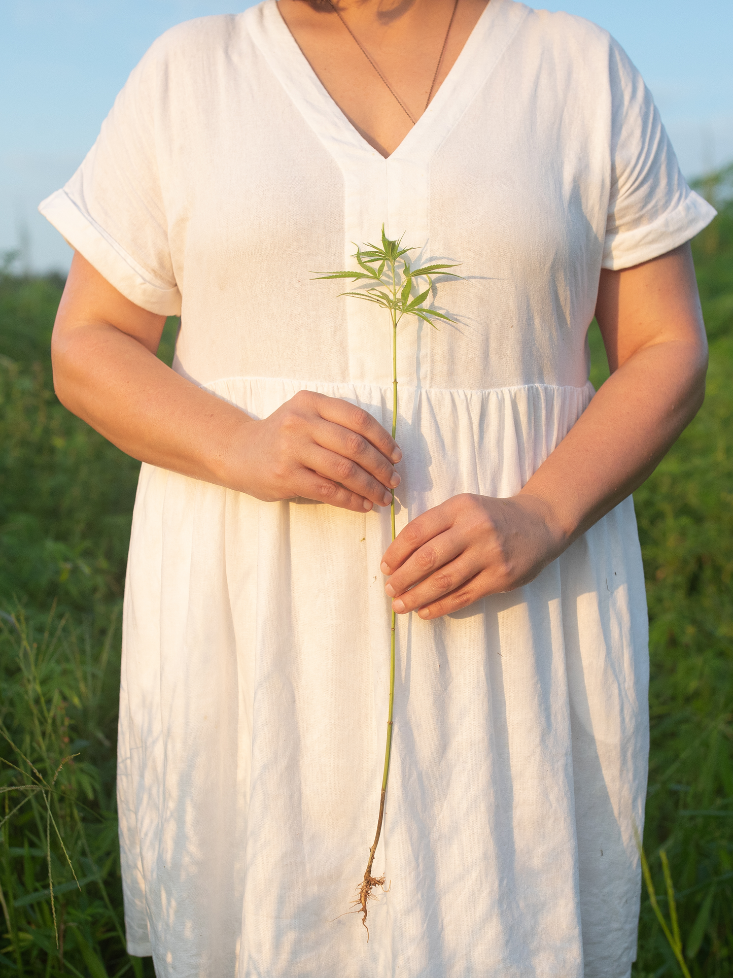 Sanitary Napkins with Hemp Fiber and Climate Beneficial™ Cotton