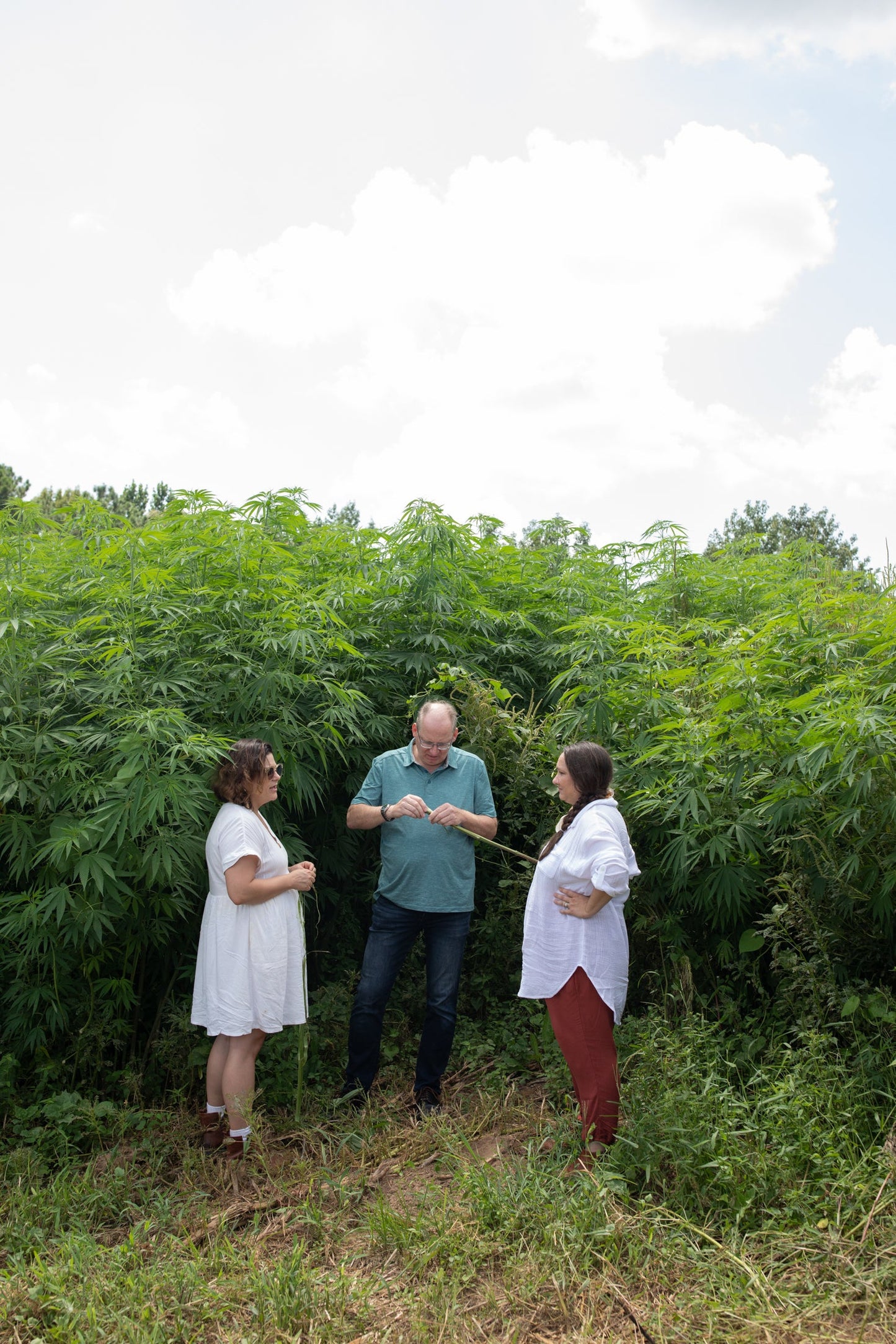 Sanitary Napkins with Hemp Fiber and Climate Beneficial™ Cotton