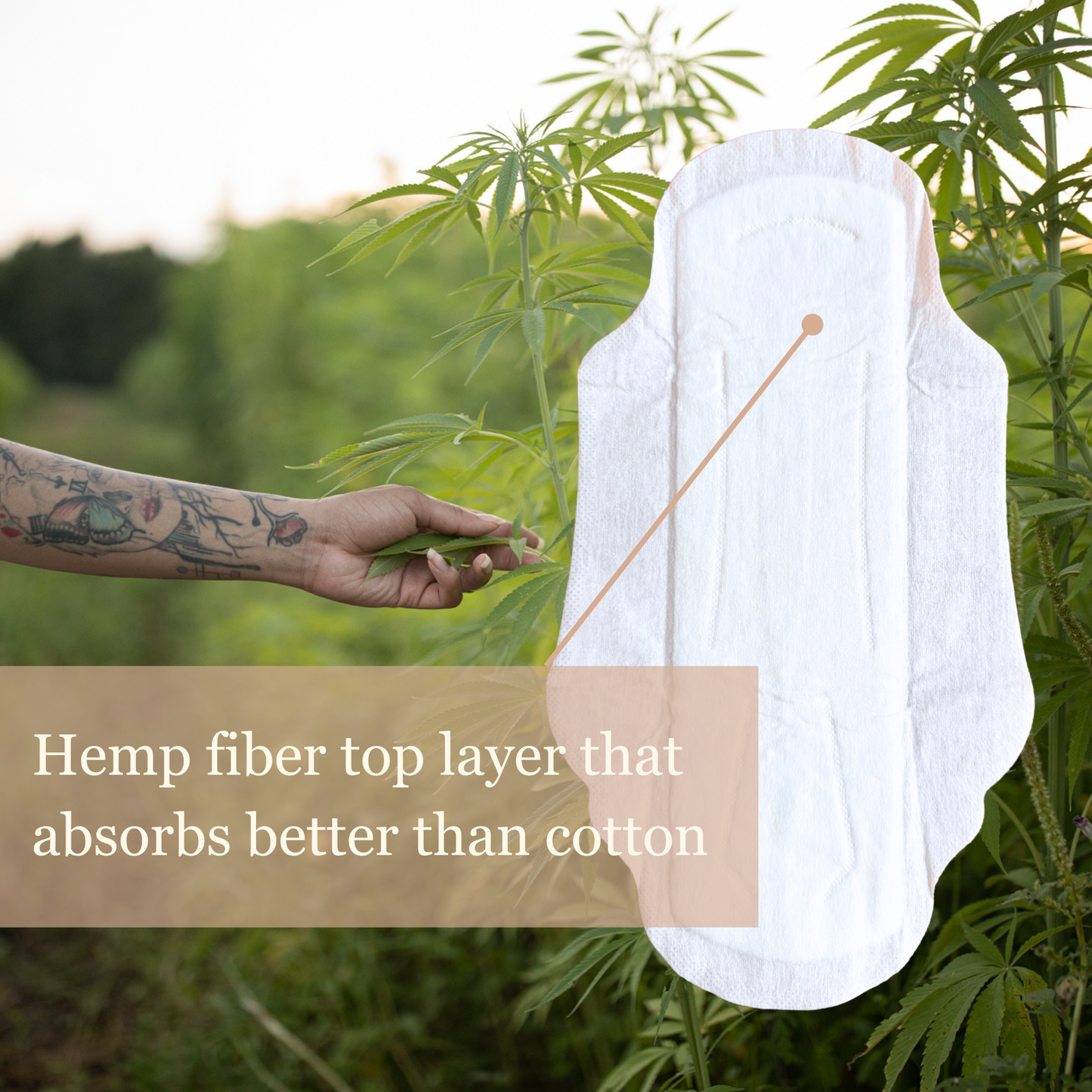 Hemp and Climate Beneficial™ Cotton Pads, 12ct POUCH - Wholesale