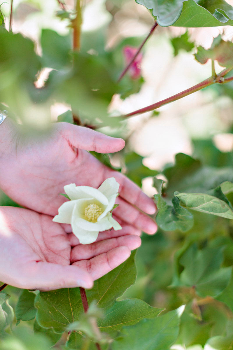 Sanitary Napkins with Climate Beneficial™ Cotton (Hemp-free)