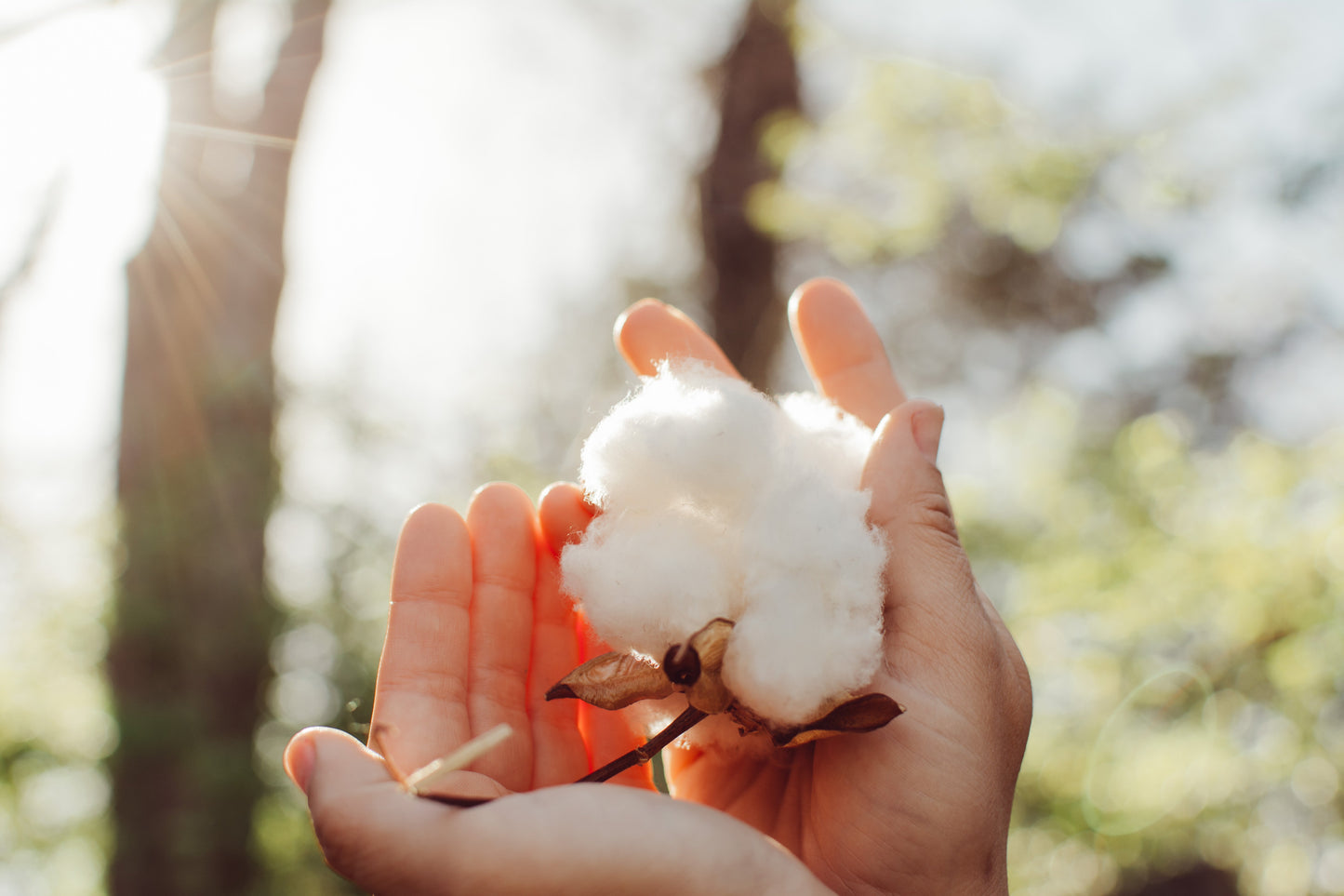 Sanitary Napkins with Climate Beneficial™ Cotton (Hemp-free)